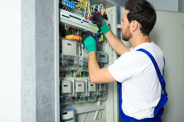 Best Electrical Upgrades for Homes  in Lewiston, MN